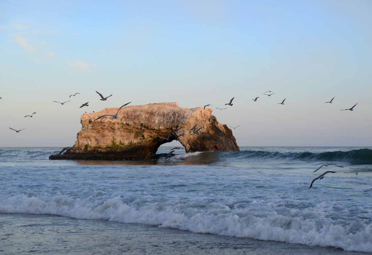 Rock archway emerging from the ocean with birds flying around